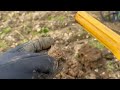 Metal Detecting | Double Silver Hammered Coins On My First Video! | Minelab Manticore!