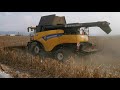 New Holland CR9090 harvest corn