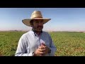 E hora de valorizar  o agro brasileiro e refletir sobre nossas atitudes