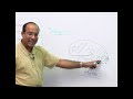 Epilepsy | Clinical Features types & treatment | Part 1/4🧑🏻‍⚕️