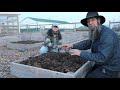 Amish secret to growing HUGE onions! It starts now..