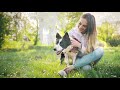 24 HOURS Calming Music For Dogs And Cats 🐶🐱  Music Aids Deep Sleep, Reducing Stress and Anxiety 🎵❤️