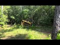 Cat 265 widening trail a bit more with mulcher