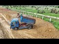 New Project! Dozer Skill Komatsu D31P Push Soil & 5ton Dump truck Dumping Soil