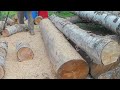 Easy Firewood Bucking (10 Minute Log Deck)