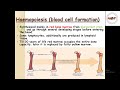 Blood anatomy & physiology in hindi || RBC || WBC || Platelets || composition of blood