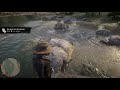 RDR2 Hunting  Request 2, the easy way.
