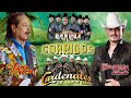 Los Tigres del Norte, Ramon Ayala, Invasores De Nuevo León, Cadetes De Linares,  ...