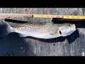 Fishing in the Pamlico by our place.