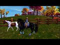 20 ANNOYING THINGS IN STARSTABLE