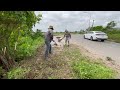 Roughly clearing abandoned sidewalks and overgrown grass - Reviving sidewalks