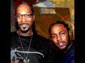 Kendrick vs Snoop - Not Like Vato (12DAMDO Mashup)