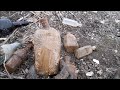 Digging Antique Bottles in A Soupy City Dump