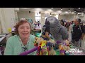 POMONA BIRD SUPER SHOW! 100s of birds and parrots!