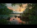 Gratitude (I Am They) - Curtis McGhee Jr.