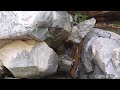 Forest Waterfall Nature Sounds - Rocky Mountain River - 2 Hour Birdsong Version-Sleeping Series Ep.4