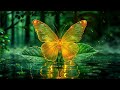 JUST LISTEN AND YOU WILL ATTRACT UNEXPLAINED MIRACLES INTO YOUR LIFE - BUTTERFLY EFFECT