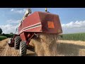 🇮🇹Old Glory🇮🇹 Laverda - Fiatagri 3790 + New Holland t6.165 & Randazzo 2 assi {Raccolta grano}