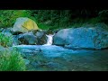 Harmonious Birds Chirping, Beautiful Stream Sounds,  Lovely Nature Sounds, Cozy Paradise