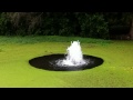 Just some fountain in a marsh