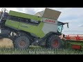 Canola harvest 2024🌾 | Sklizeň řepky | 🚜Claas Lexion 8600 | ZOD Podhradí Choustník | 4K