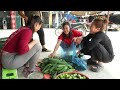 Harvest Cucumber Goes To Market Sell - Village Farm Life | New Free Bushcraft