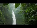 Relaxing Music for Stress Relief, Calm, Study | Beautiful Nature & Water Sounds