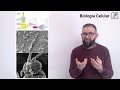 11. Biología Celular. Tipos de microscopios