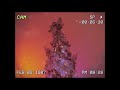 VINIA - Árbol De Navidad (Lyric Video)