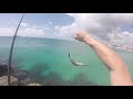 Cancun Shore Fishing! Barracuda and Jacks!