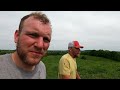 Dairy Farming In Wisconsin! Raising Cattle On Grass!