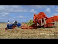 Vintage Harvest Day at Herregården Hessel 2024 - Great Combines in the field | Harvest 2024