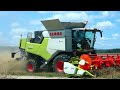 żniwa 2024 w Kiełkowie | GR Duda | Claas Trion 640 | Deutz-Fahr | New Holland