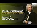 J.S. Bach: Was mein Gott will, das g'scheh allzeit, BWV 111 - The Church Cantatas, Vol. 167