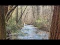 Solo HIKE into the MIDDLE of the WILDERNESS to find a WATERFALL!