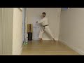 Pinan Sandan Kata Karatê Shorin-Ryu