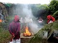 Mayan Wedding