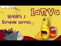 Caring for Baby Food -  Comics | Larva Cartoon - Mini cartoon Movie | LARVA Official.