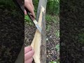 Didn’t know this could happen (Carving a tree)