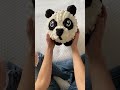 What should we name this new panda stuffie!? Suggest names that start with the letter P!