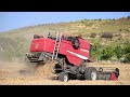 LAVERDA AL QUATTRO TECHNO Az. Agricola F. lli Gucciardo - Calatafimi Segesta - Raccolta grano 2024