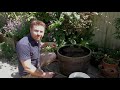 How to Make a Wildlife Barrel Pond