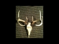 HOW TO MAKE A DEER SKULL MOUNT