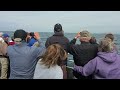 Whale watching nova scotia 2021 / whale watching bay of fundy / Can in Canada