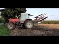 🔥Obornik i orka po ściernisku//🔥Massey Ferguson 3085 🔥 vs 4 odkładnie kuhn/Jeantil🔥