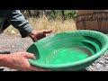 GOLD Prospecting THE BEST CREEK in Australia!