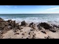 Walking on the beach in FLORIDA