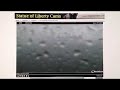 Statue Of Liberty Live Web Cam for Hurricane Sandy