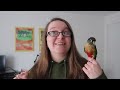 How to Get Your Bird to Trust You - Parrot Bonding and Taming | BirdNerdSophie