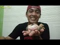 UNBOXING BURUNG !! CARA MEMASANG RING BURUNG | WARNA BULUNYA KEREN BANGET !!